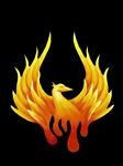 pic for fire bird